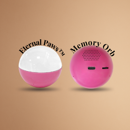 Eternal Paws™ - Pet Memory Orb